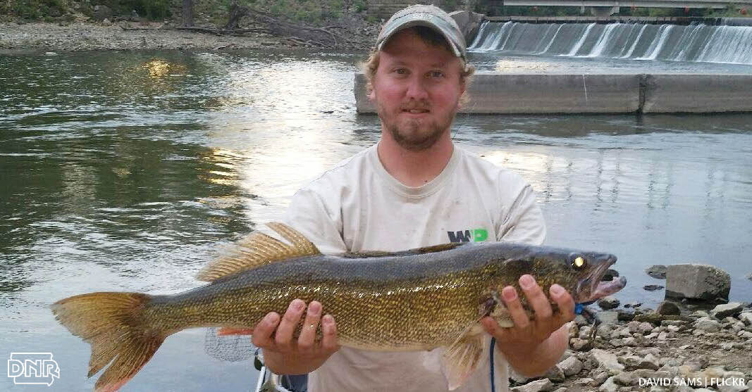 Tips for river fishing | Iowa DNR